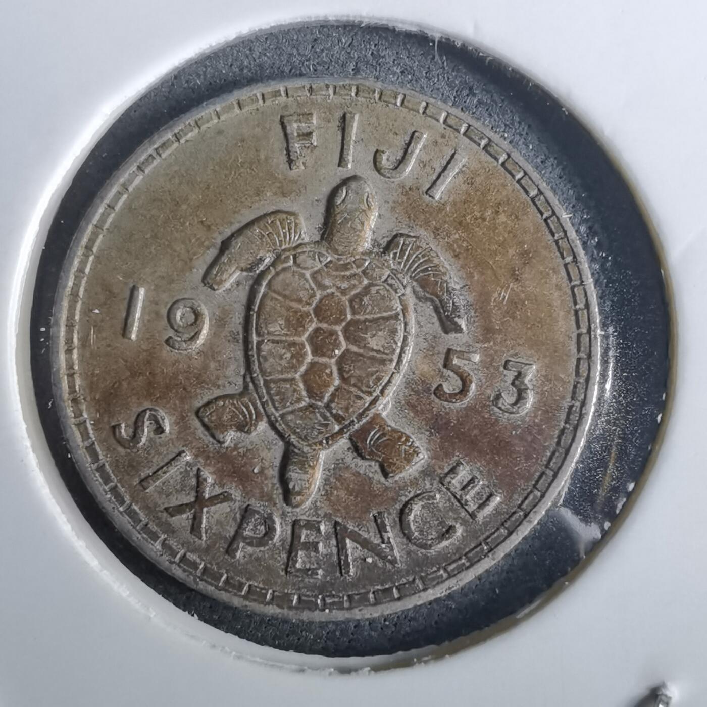 沼泽如烟--第957场