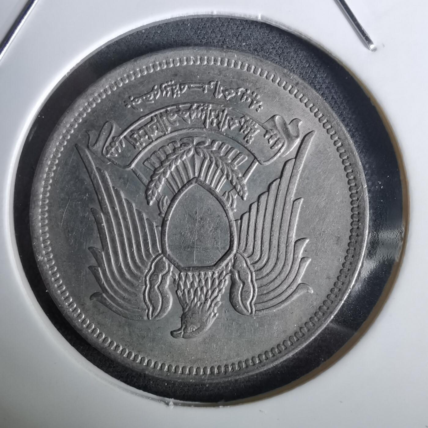 沼泽如烟--第957场