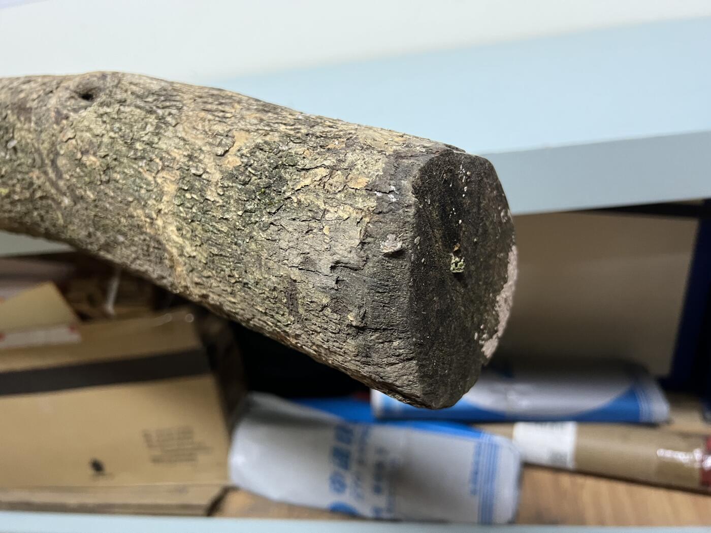 零元拍： 01-09金丝楠 原木 风水柱 横财（材）带皮， 尺寸：111/9/10CM。4.8公斤。抛光后金灿灿满香。