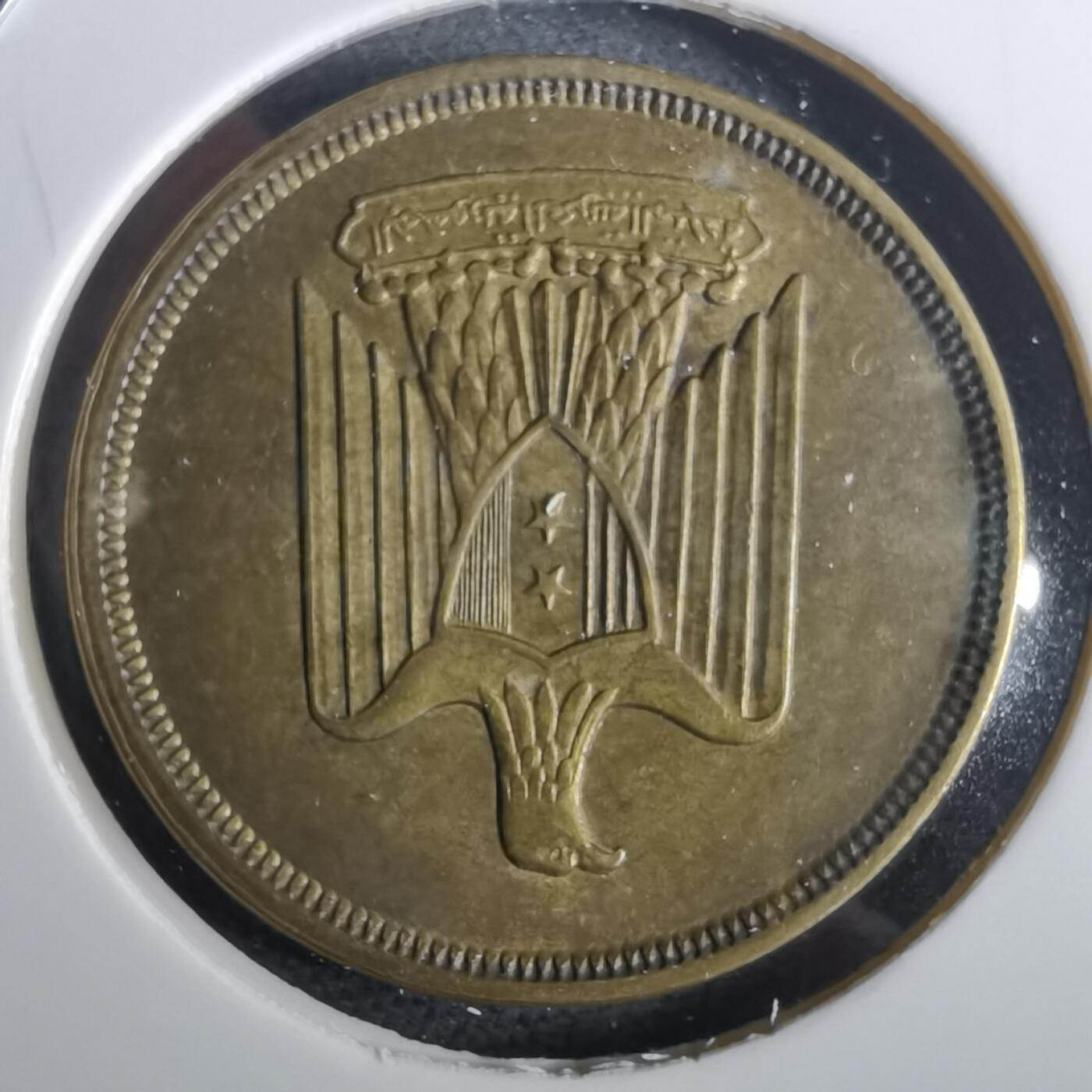 沼泽如烟--第957场