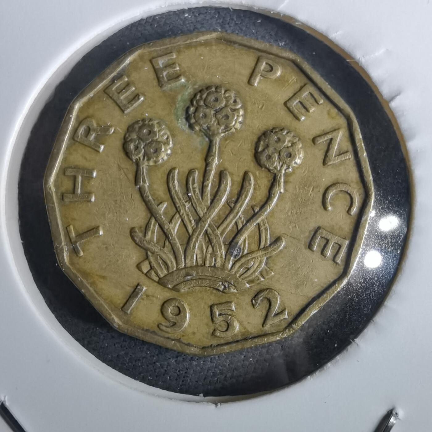 沼泽如烟--第957场