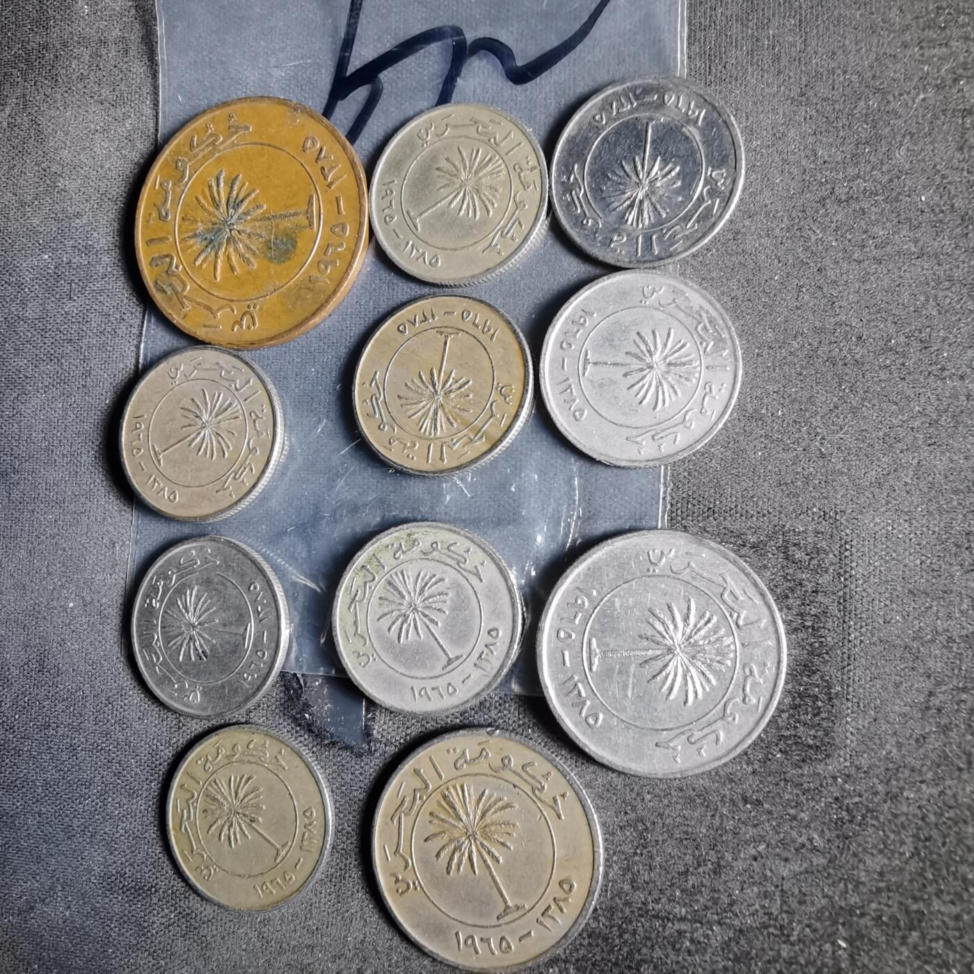 沼泽如烟--第956场