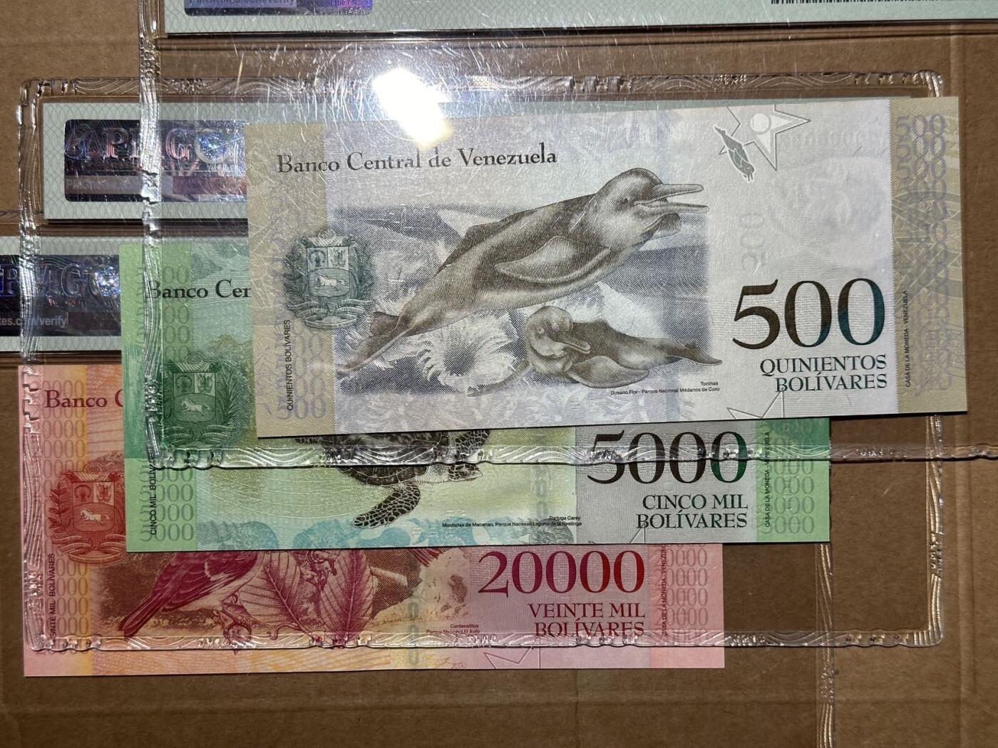 🐍甜小邱世界纸币收藏🐍第139期精品场💐 【全同号首发95号】委内瑞拉2016年500、5000和20000玻利瓦尔 委内瑞拉首发小号非常罕见 同号更为难得 PMG66、PMG65和PMG64