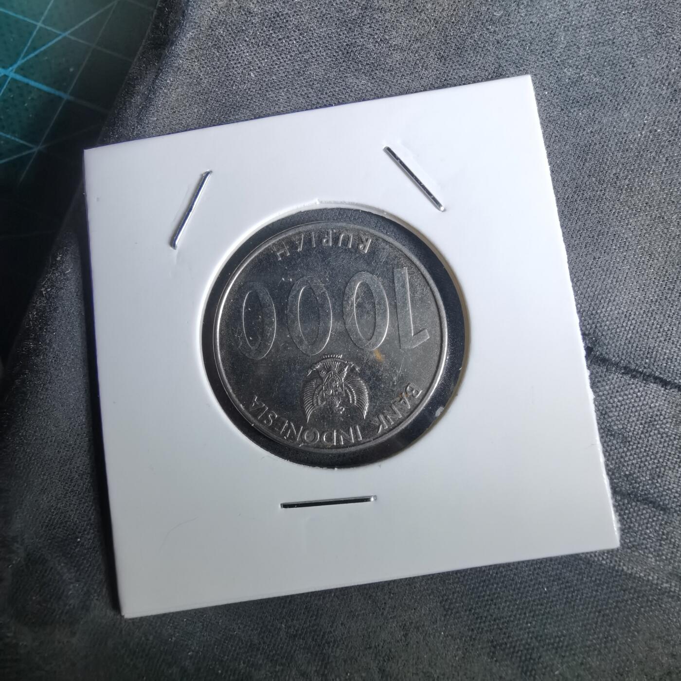 沼泽如烟--第957场