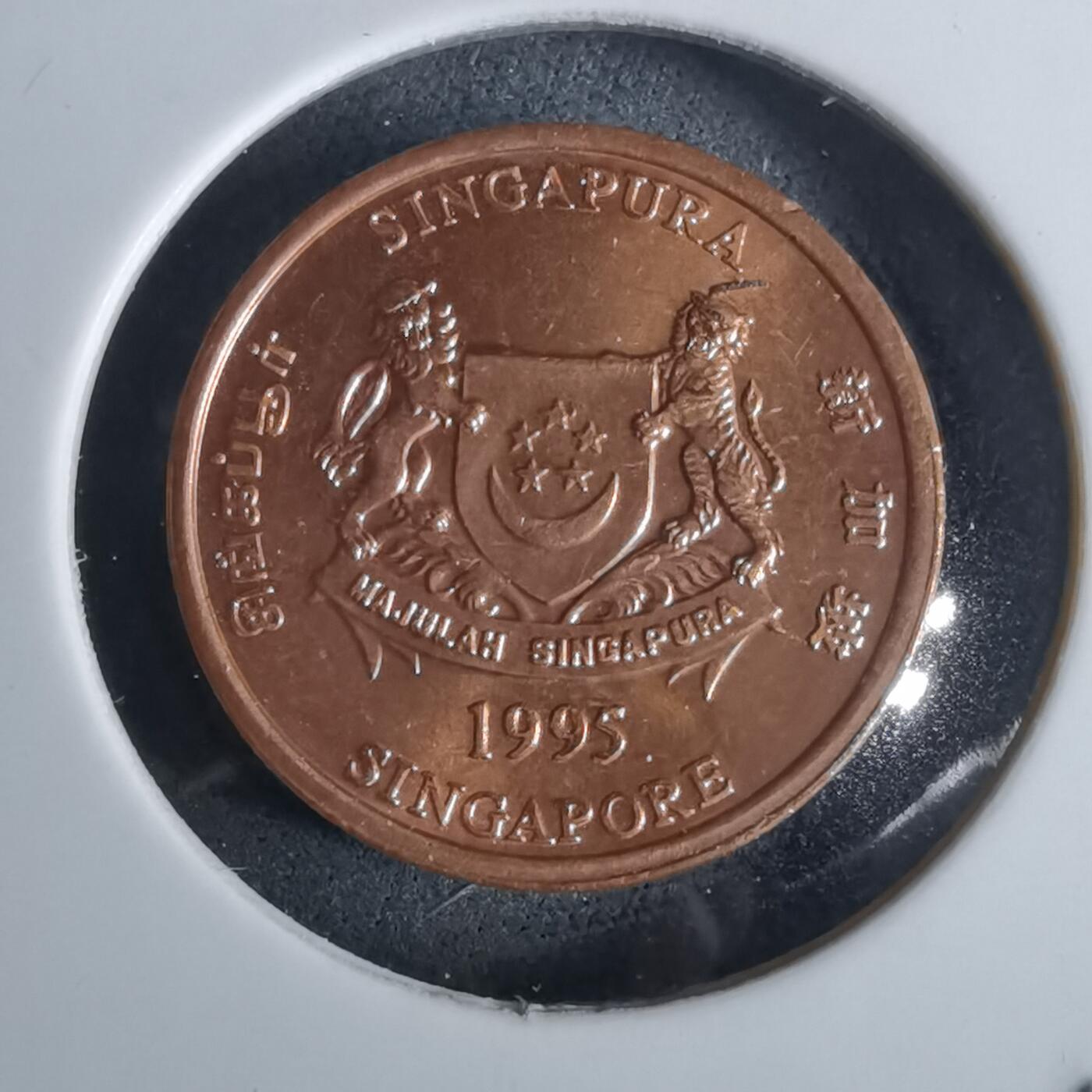 沼泽如烟--第957场