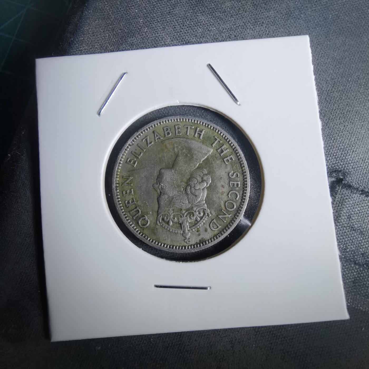 沼泽如烟--第957场