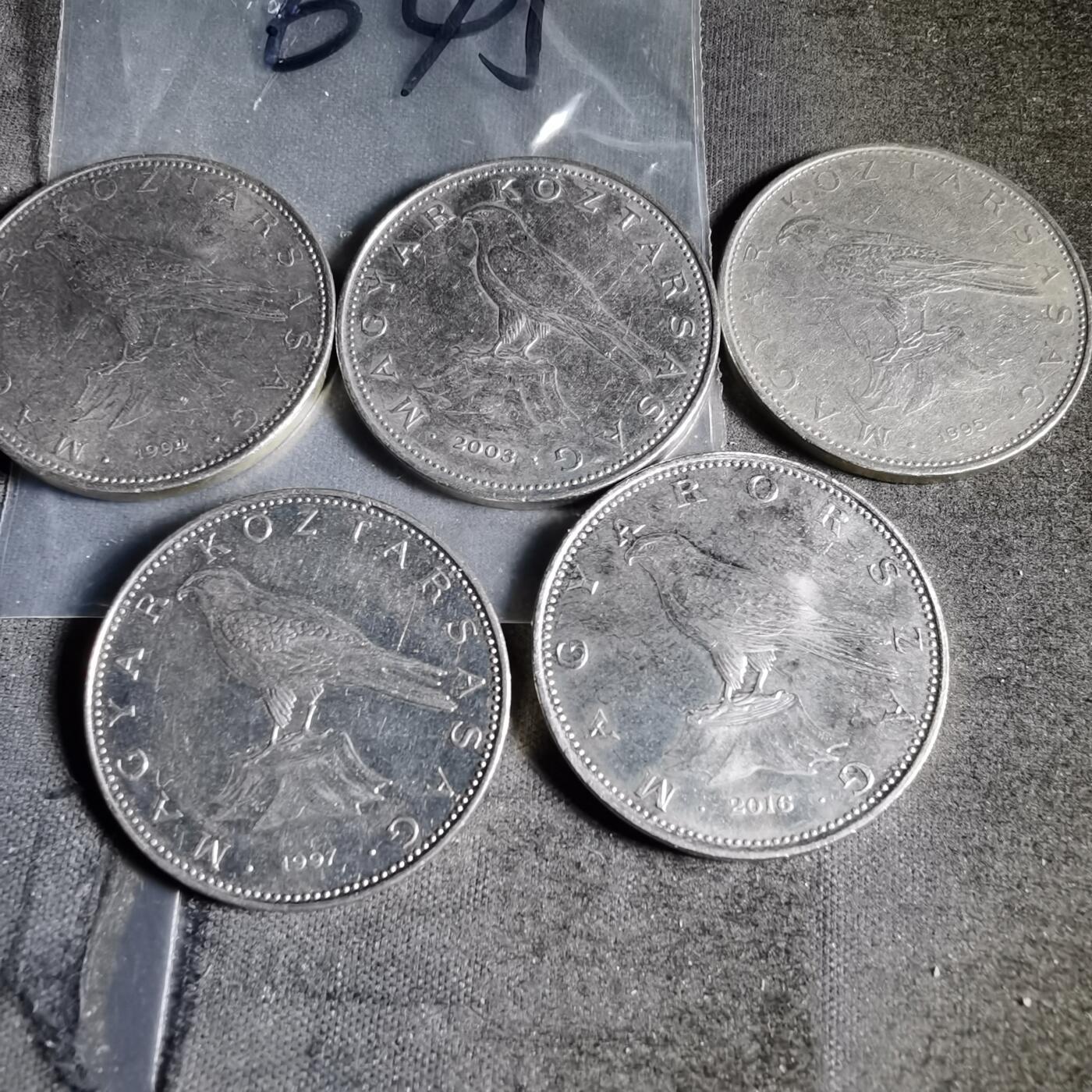 沼泽如烟--第956场