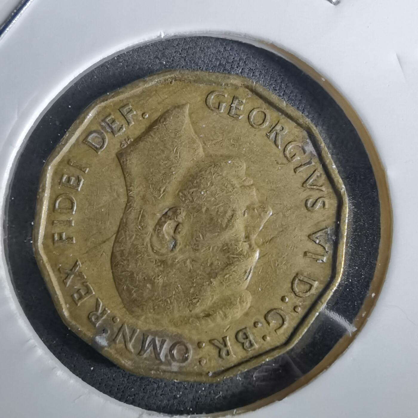 沼泽如烟--第957场