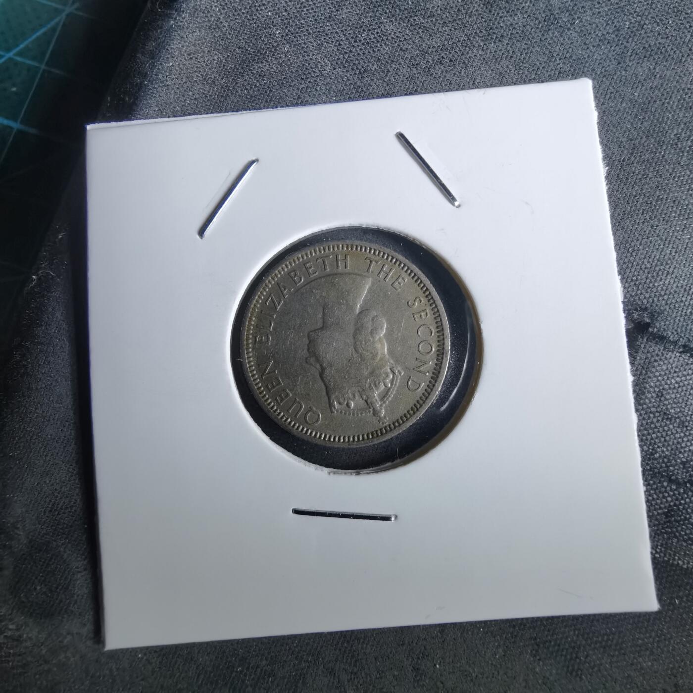 沼泽如烟--第957场