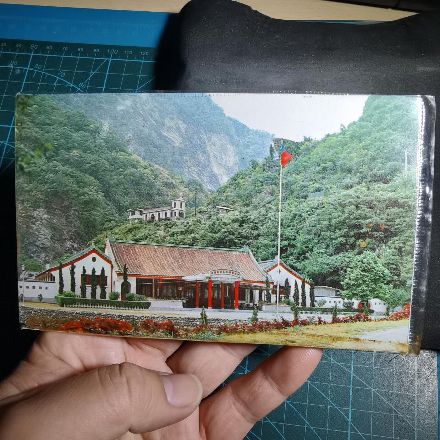 沼泽如烟--第956场