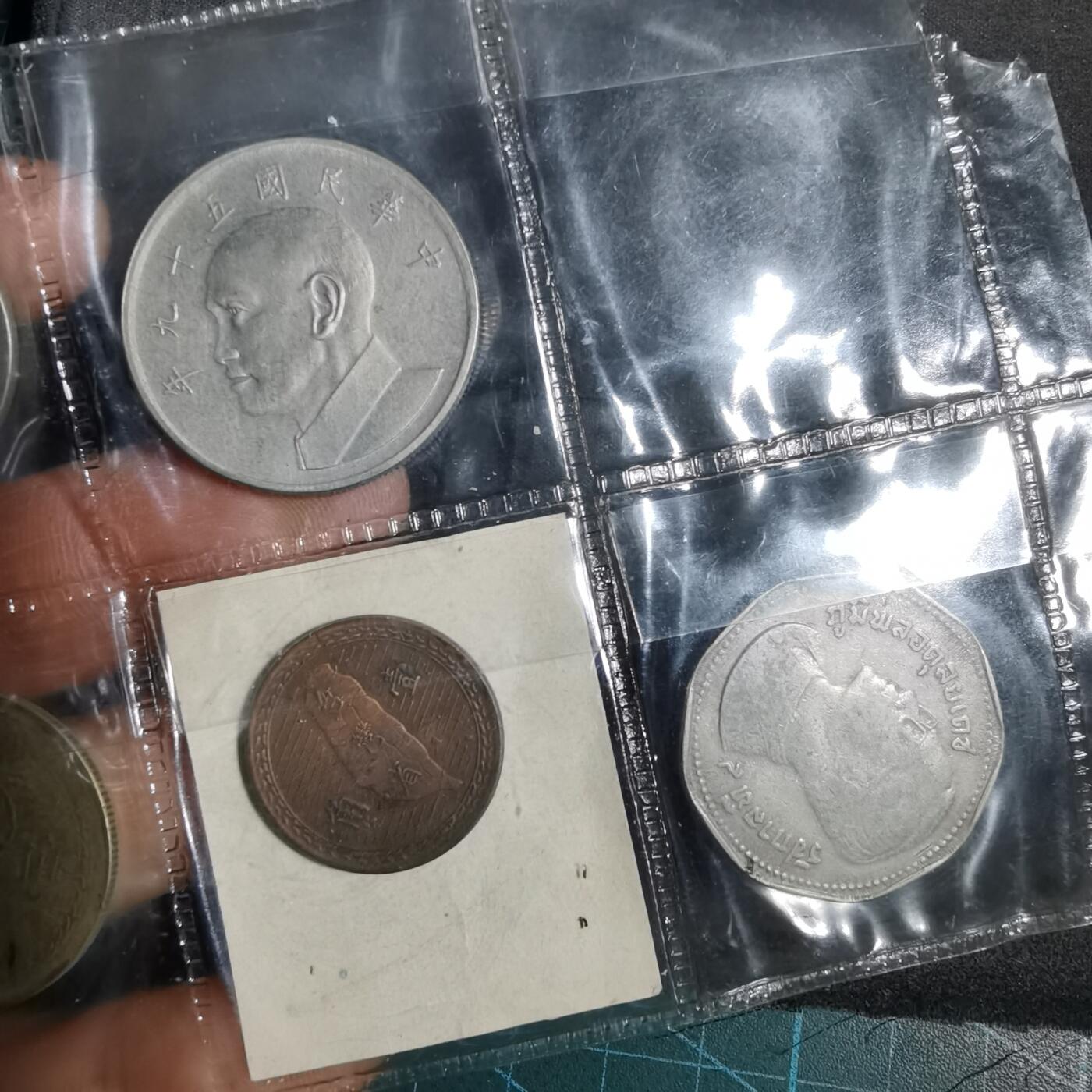 沼泽如烟--第956场