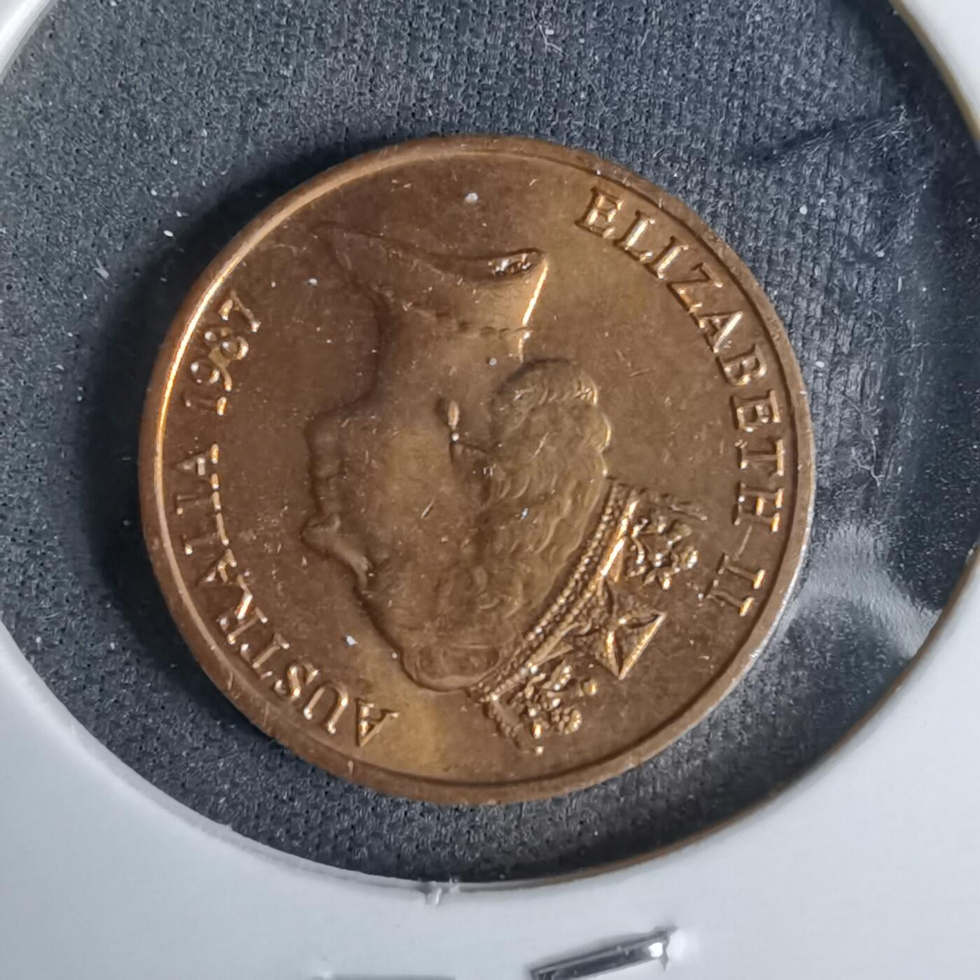 沼泽如烟--第958场