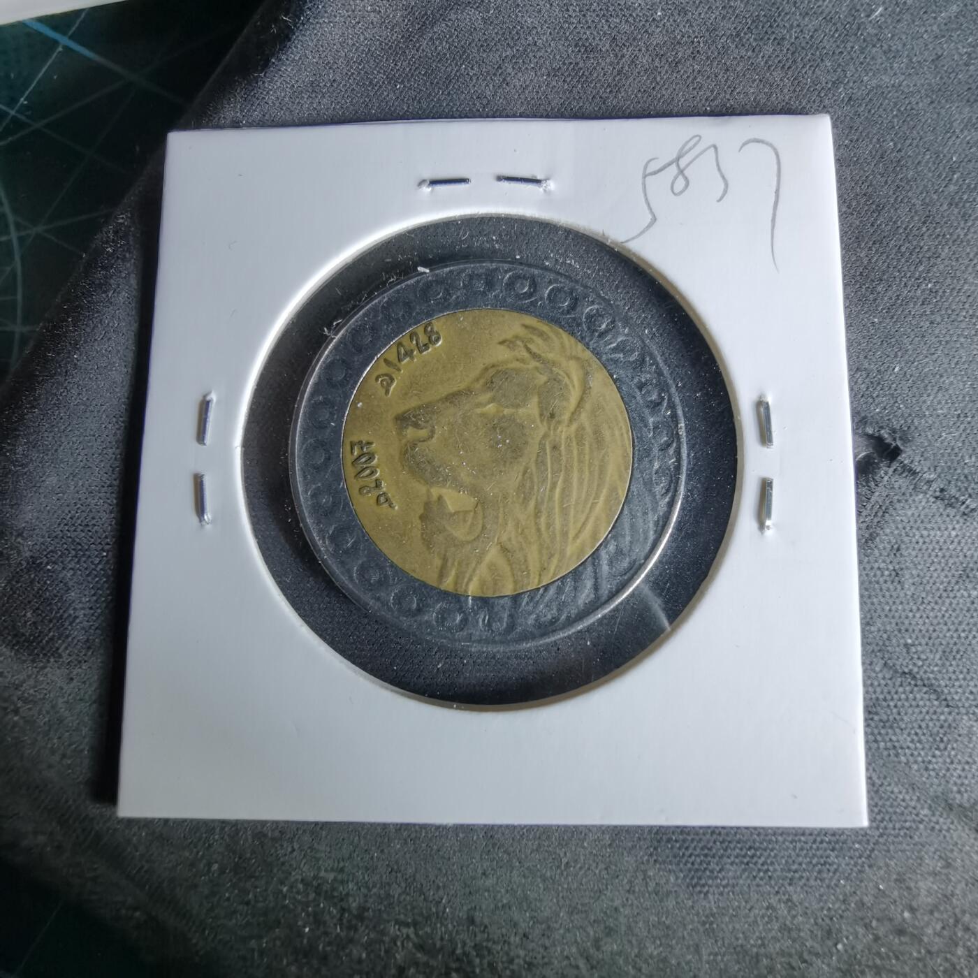 沼泽如烟--第958场