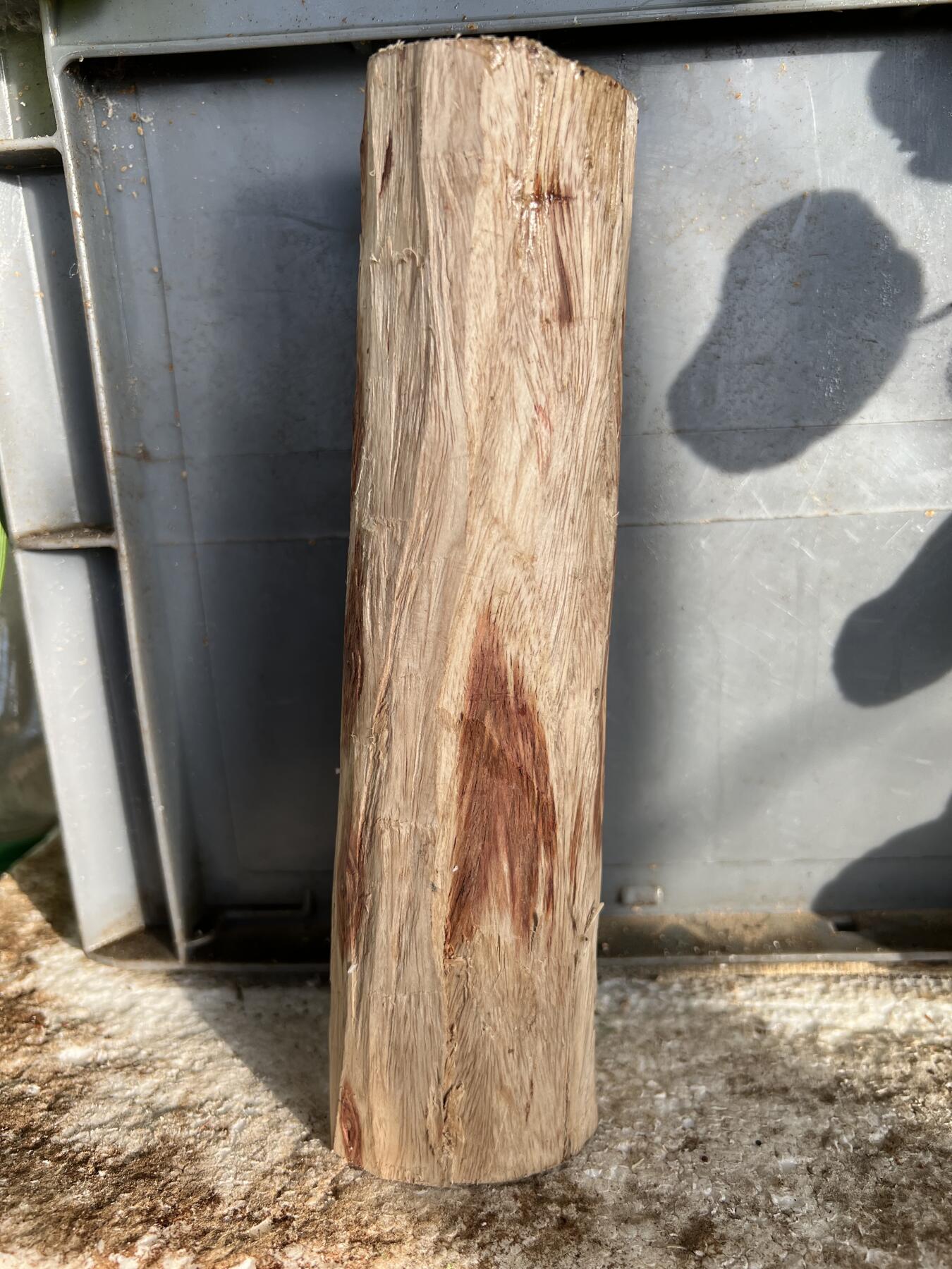 零元拍：  NO.110-4海南黄花梨原料。尺寸约195/45MM