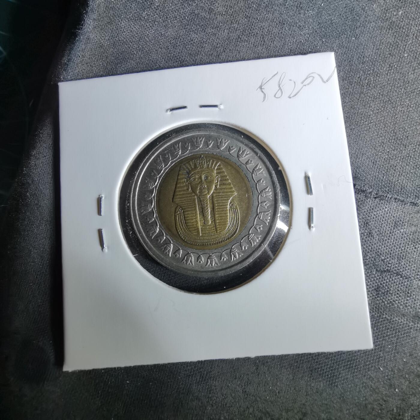 沼泽如烟--第958场 埃及