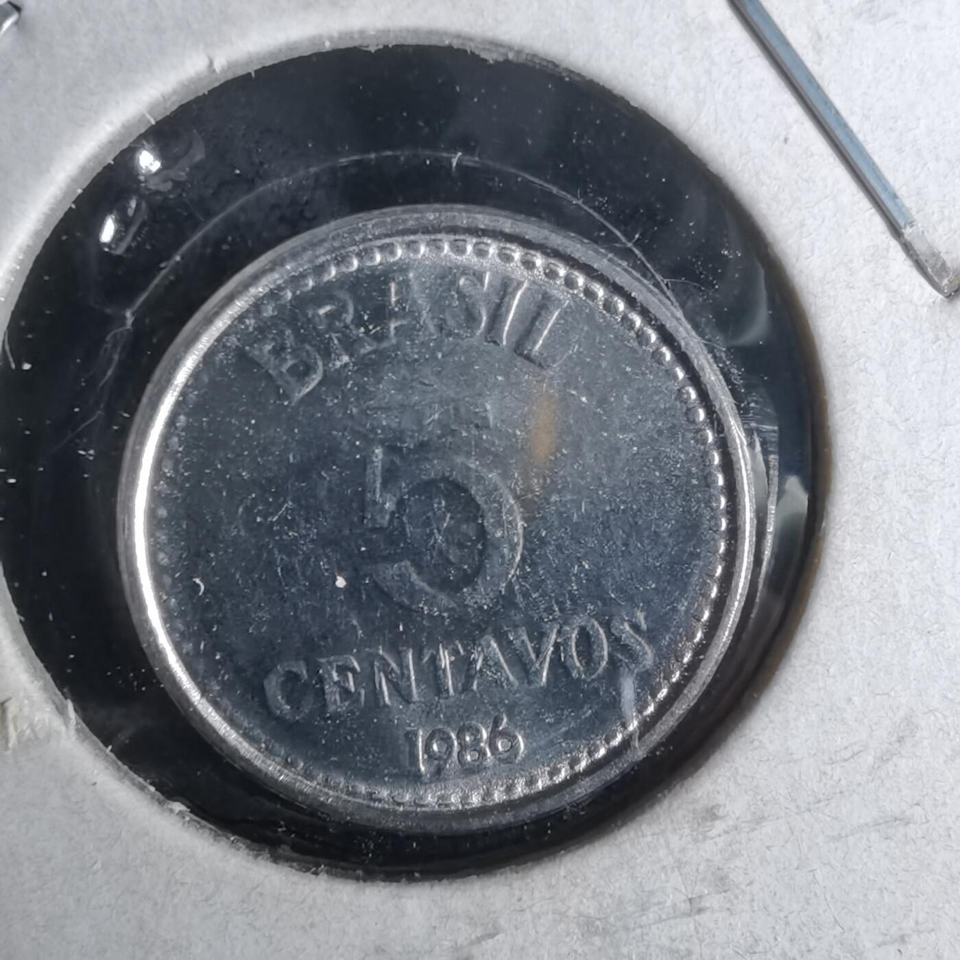 沼泽如烟--第958场