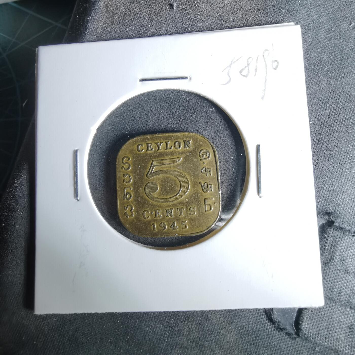 沼泽如烟--第958场