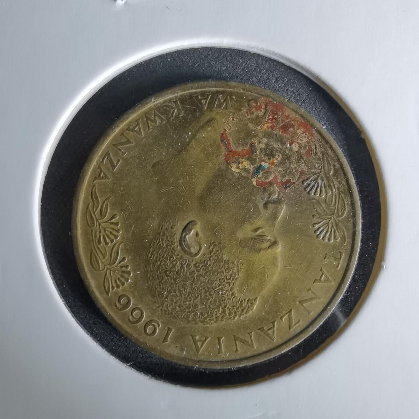 沼泽如烟--第958场