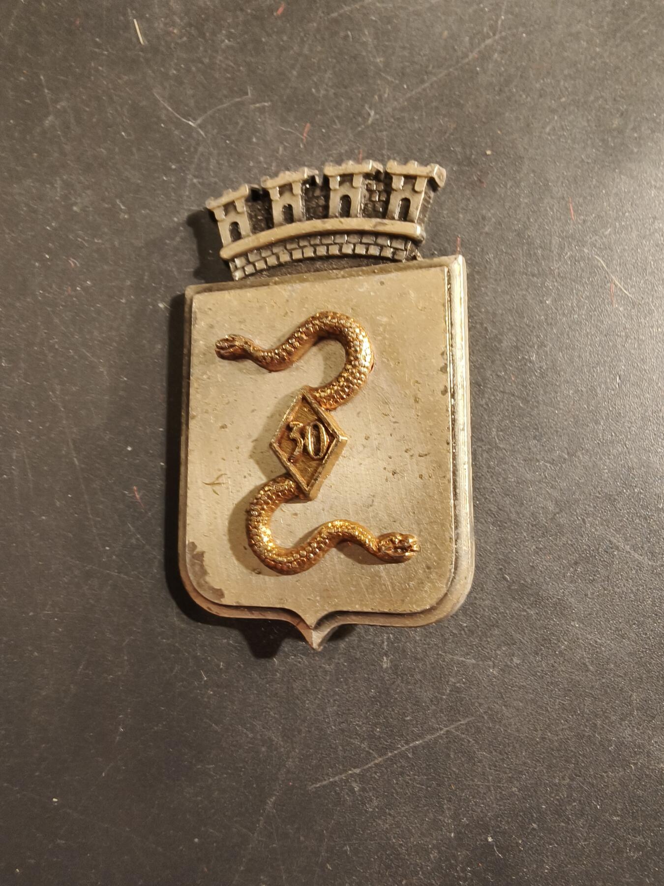 老王徽章第176期 法国陆军第30兵营群证章