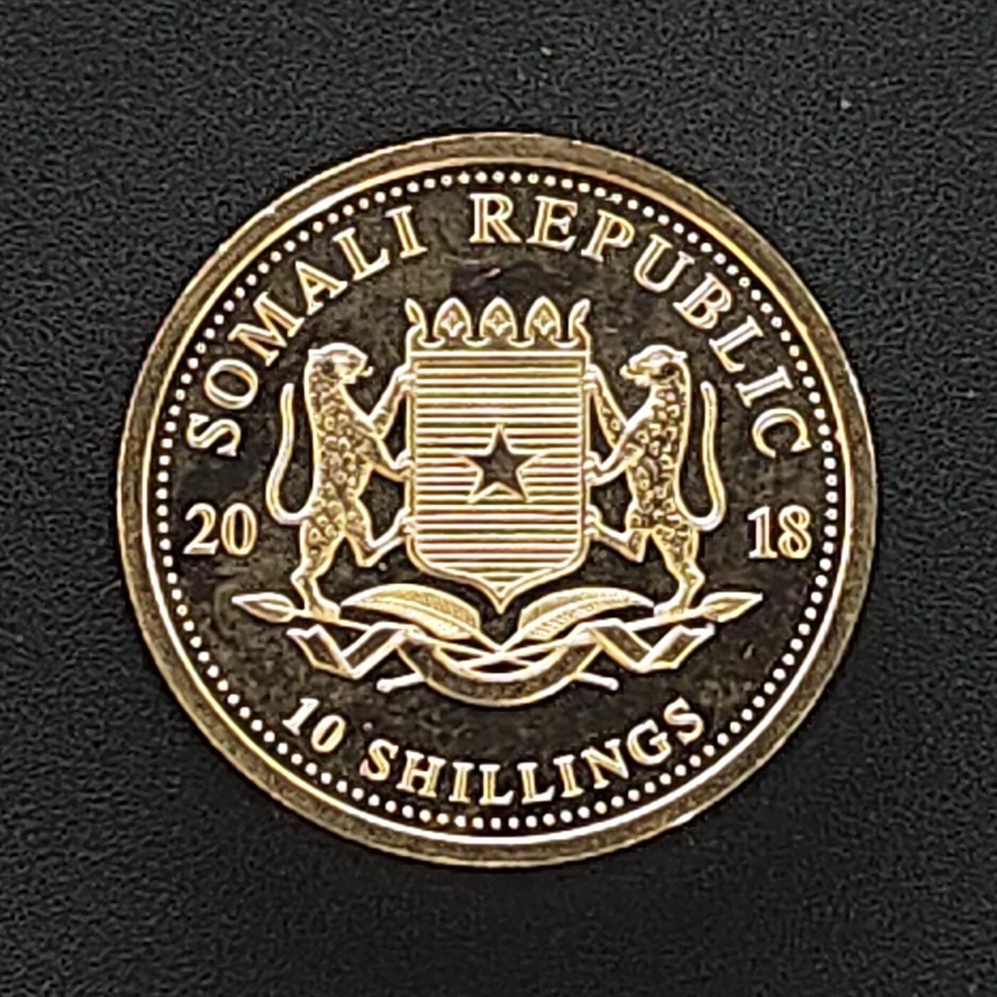 【全场包邮】纯粹捡漏拍494场 索马里2018年10先令大象1/10盎司9999纯银【16毫米3.11克，纯银价约62元（按20元银价折算）】