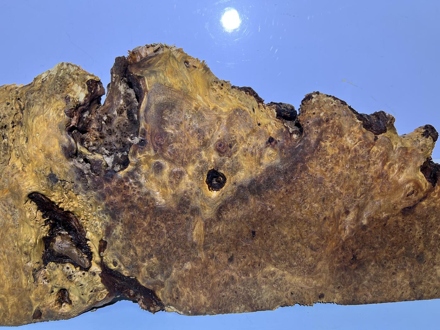 零元拍：NO78香杉木老根榴茶盘，尺寸约：750/180/250/35厚MM，满花满瘤，药香满鼻，无漆无蜡