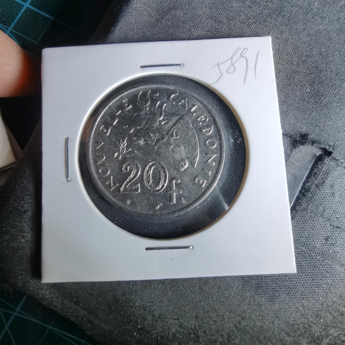 沼泽如烟--第958场