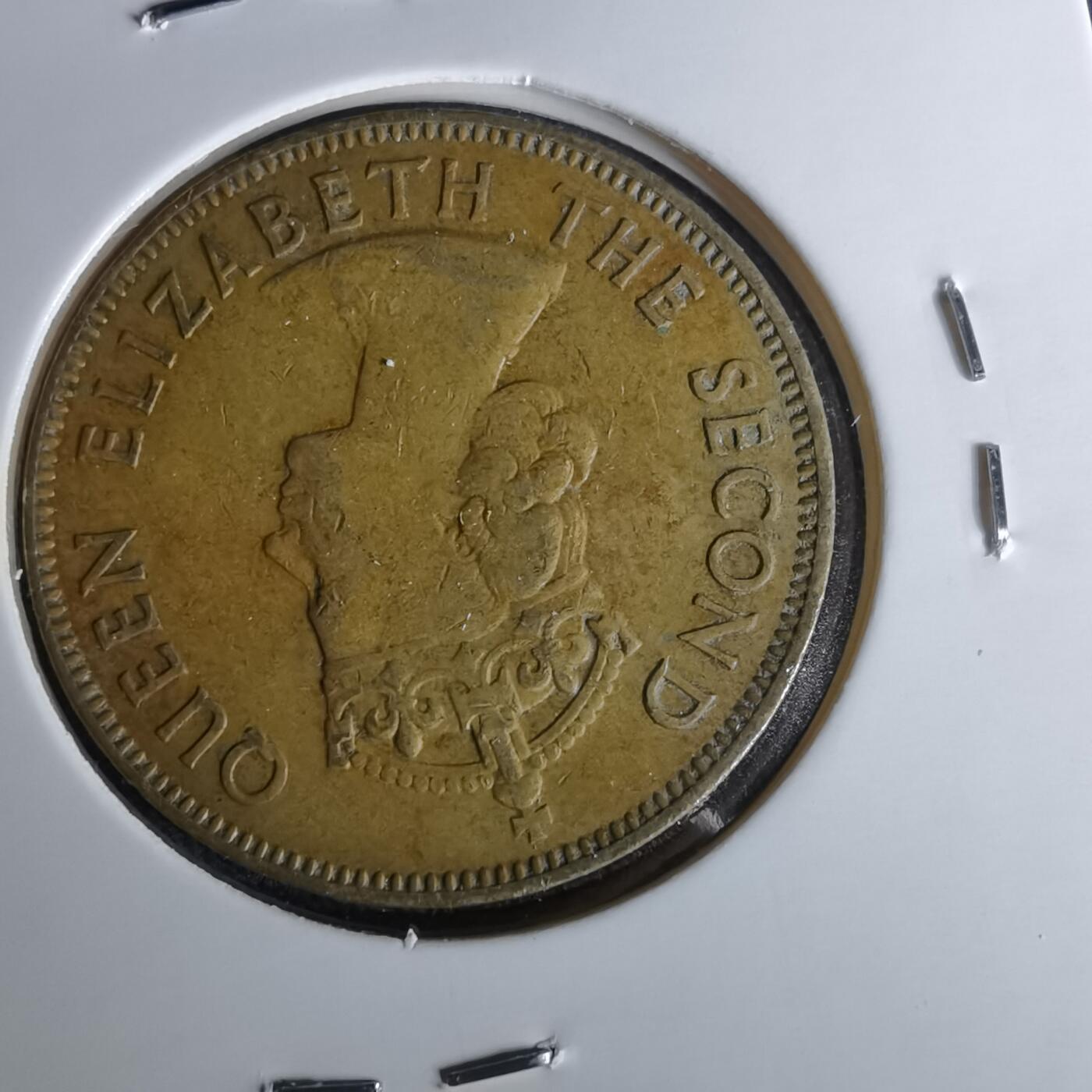 沼泽如烟--第958场