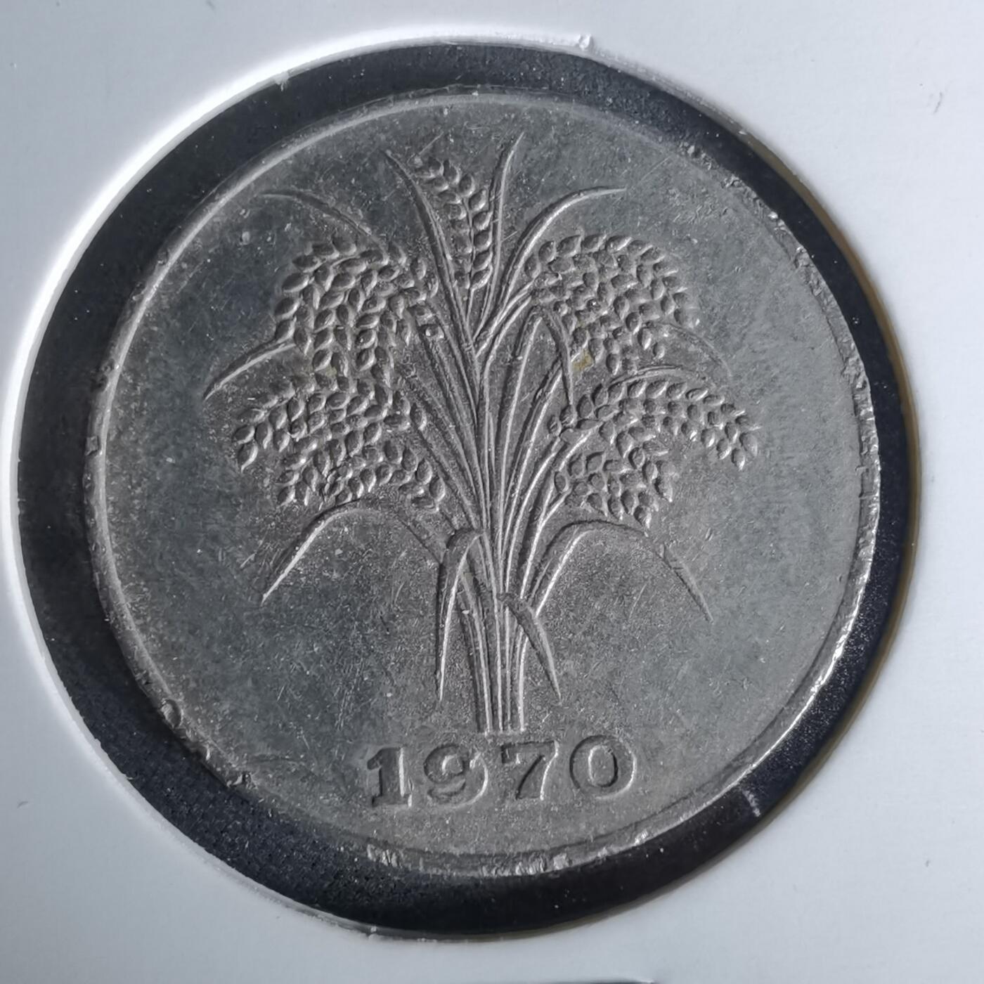 沼泽如烟--第958场