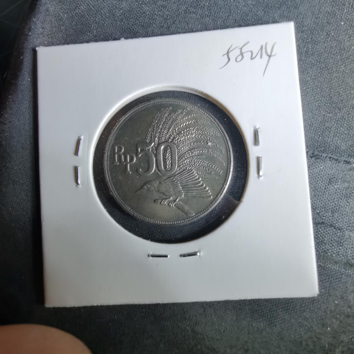 沼泽如烟--第958场