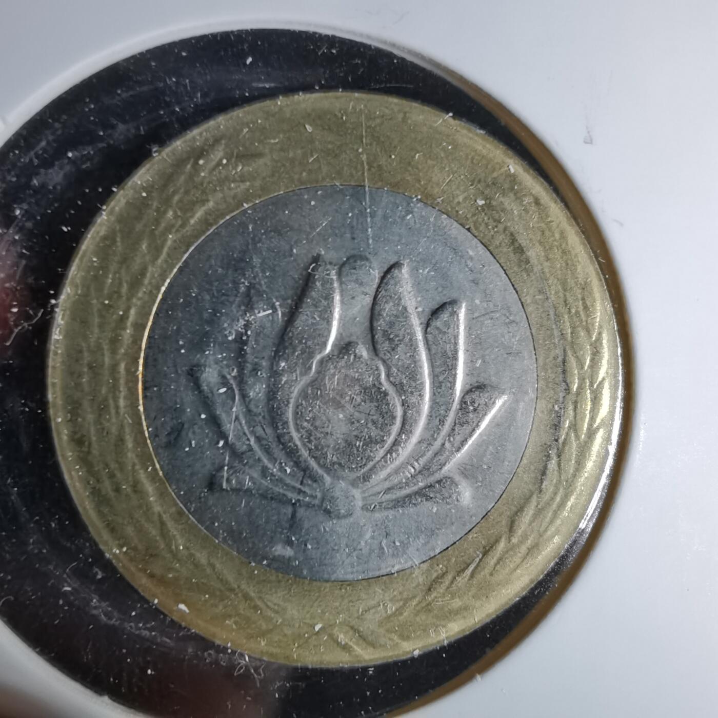 沼泽如烟--第958场