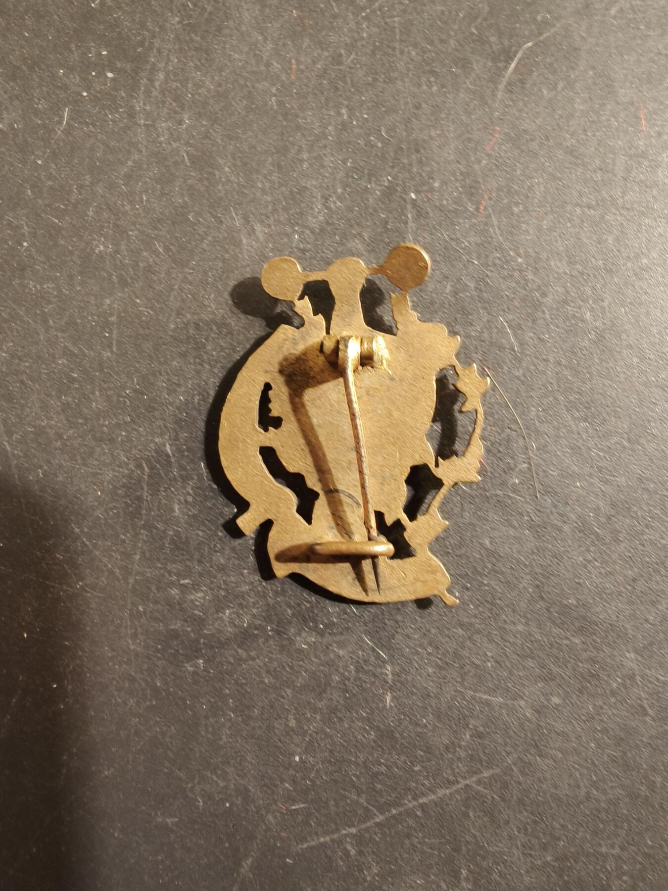 老王徽章第176期