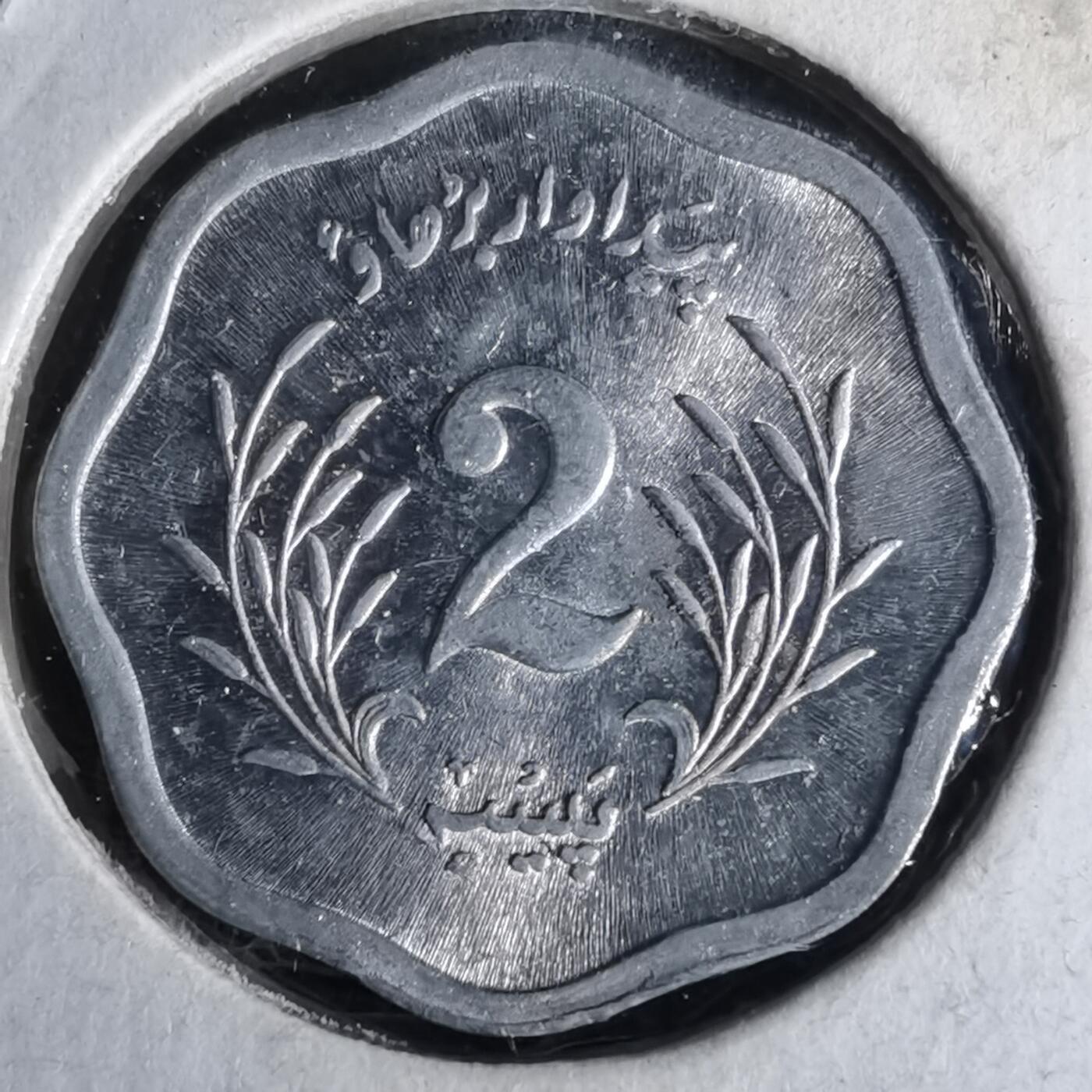 沼泽如烟--第958场