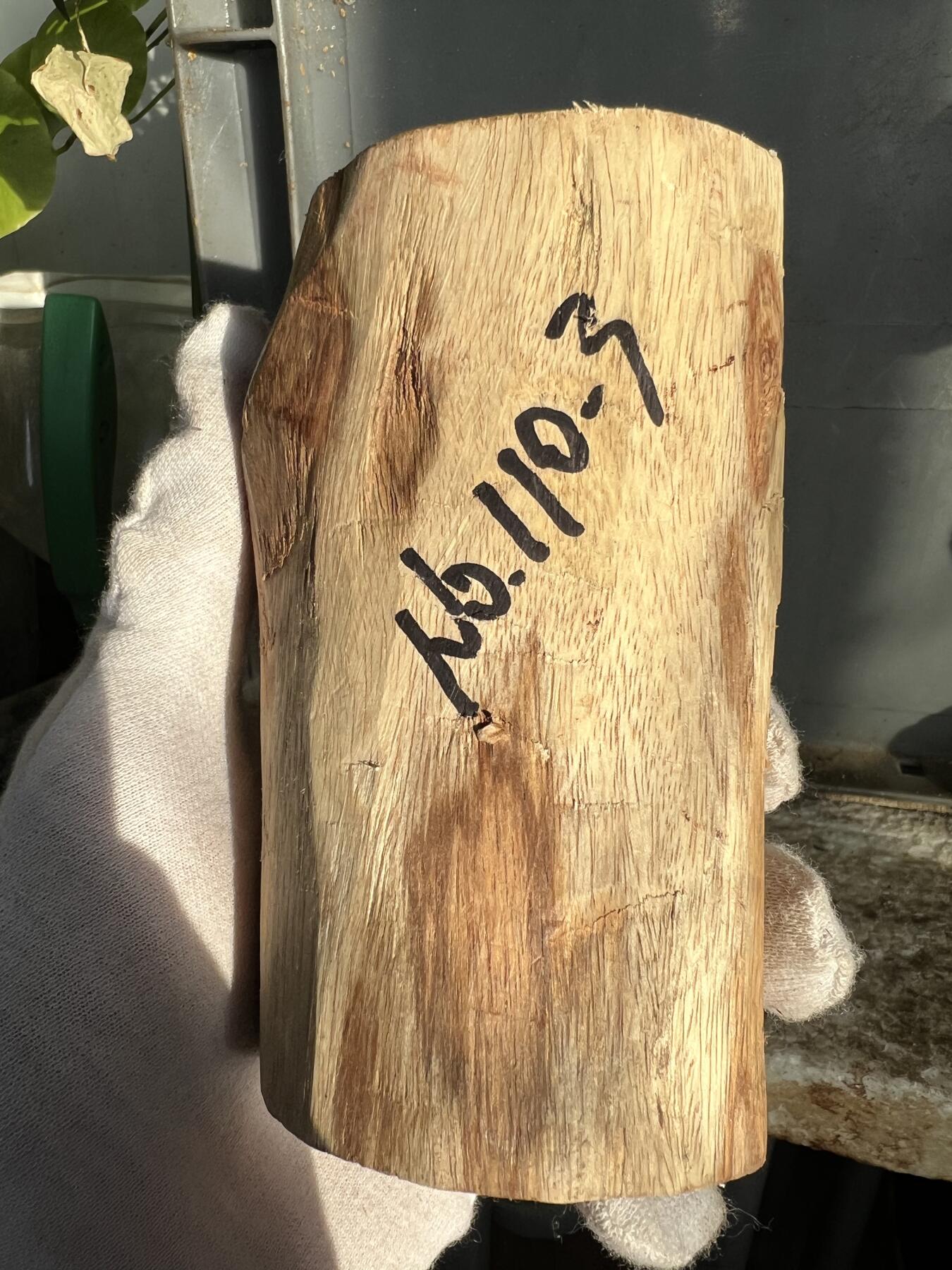 零元拍：  NO.110-3海南黄花梨原料。尺寸约110/55MM