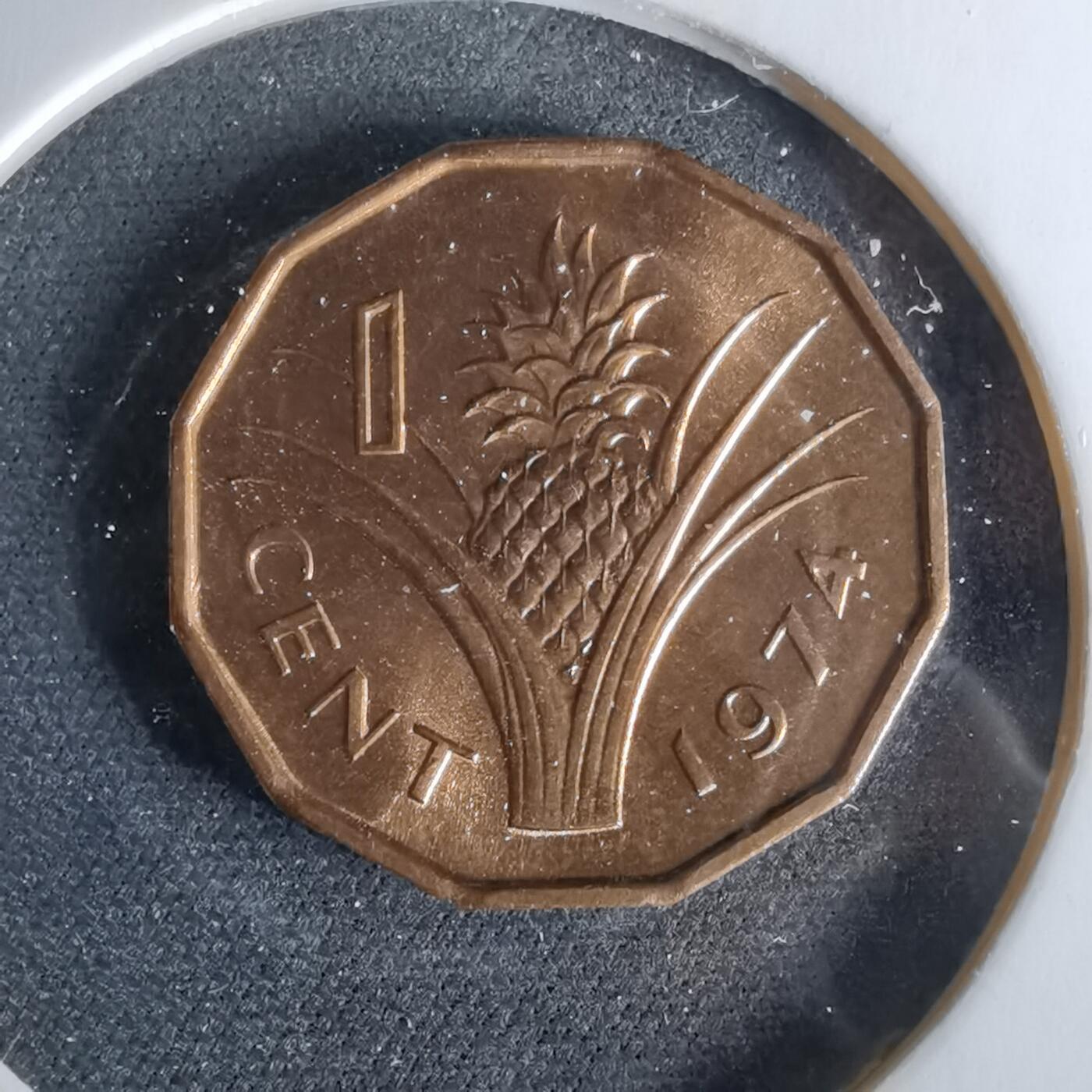 沼泽如烟--第958场 斯威士兰1974年一分