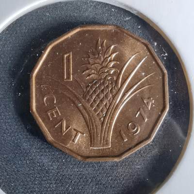 沼泽如烟--第958场 - 斯威士兰1974年一分