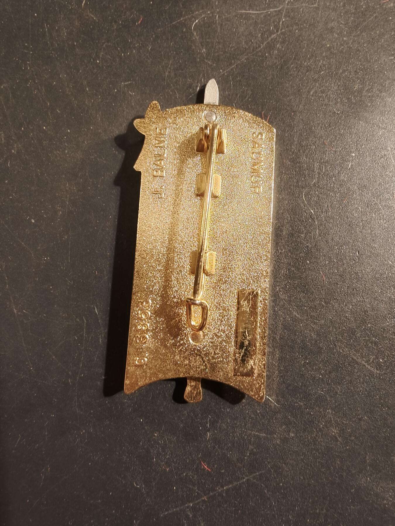 老王徽章第176期