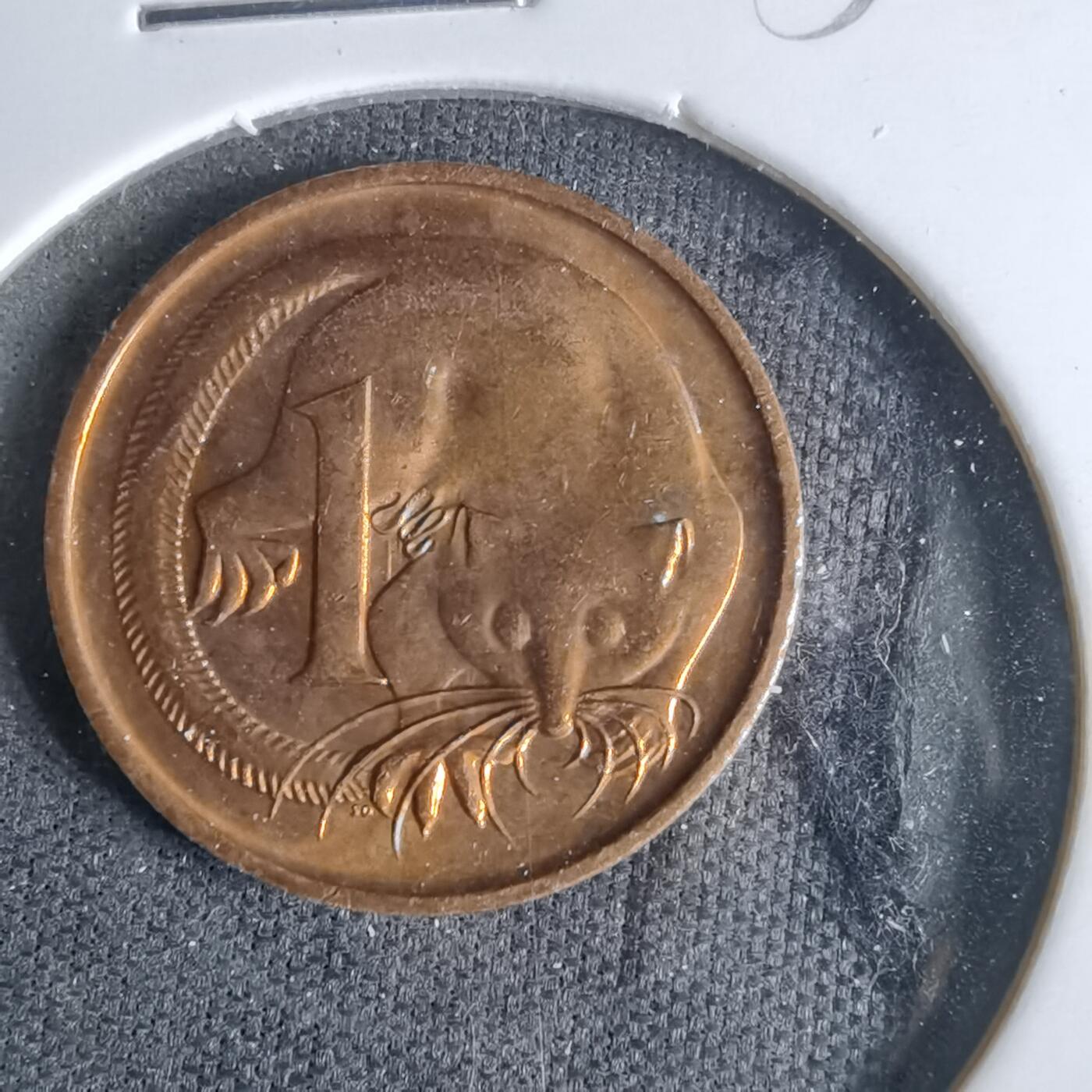 沼泽如烟--第958场