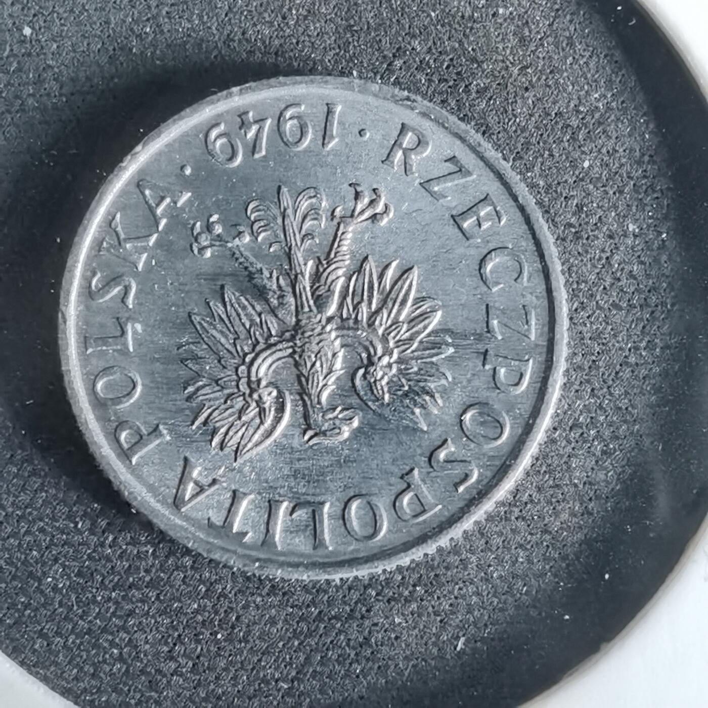 沼泽如烟--第958场