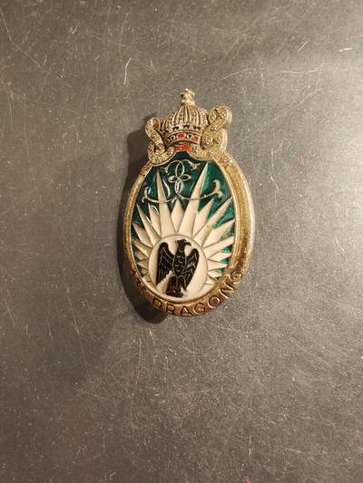 老王徽章第176期 - 法国第13伞降龙骑兵团证章