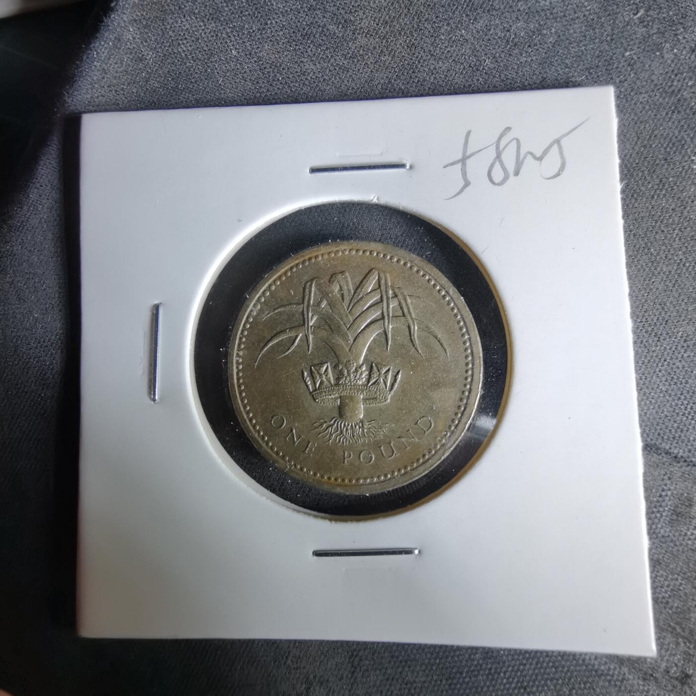 沼泽如烟--第958场