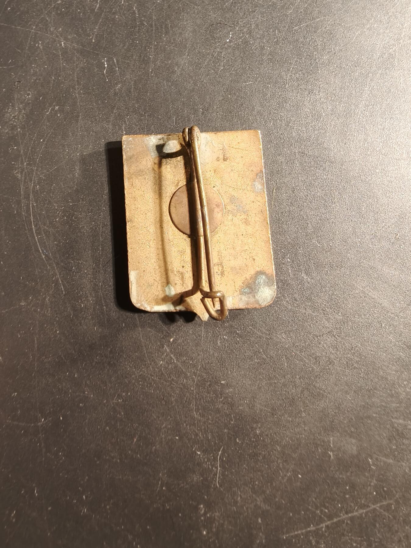 老王徽章第176期 法国昂热省证章