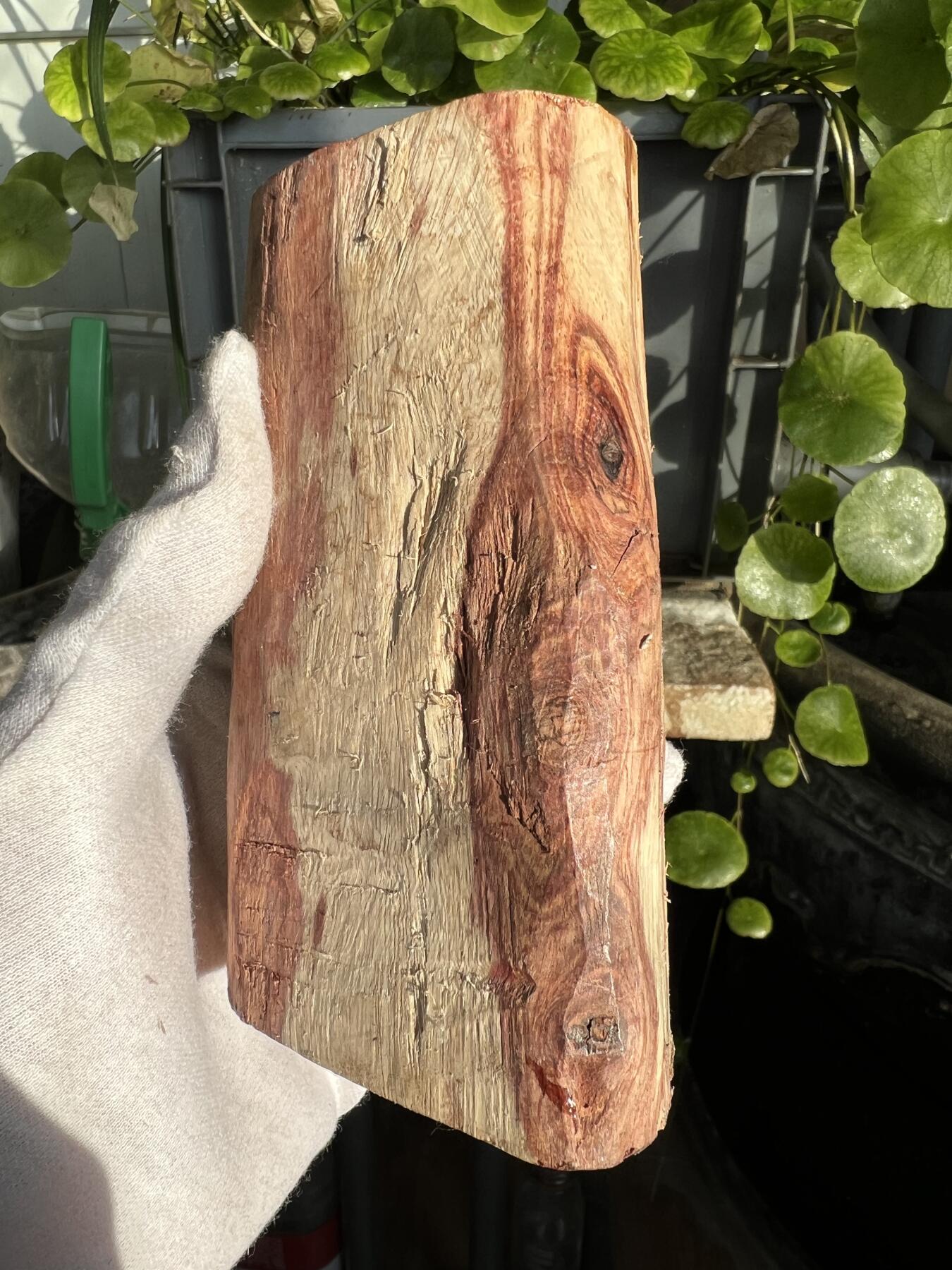 零元拍：  NO.40-1海南黄花梨原料。鬼眼很多哦，尺寸约125/80/60MM