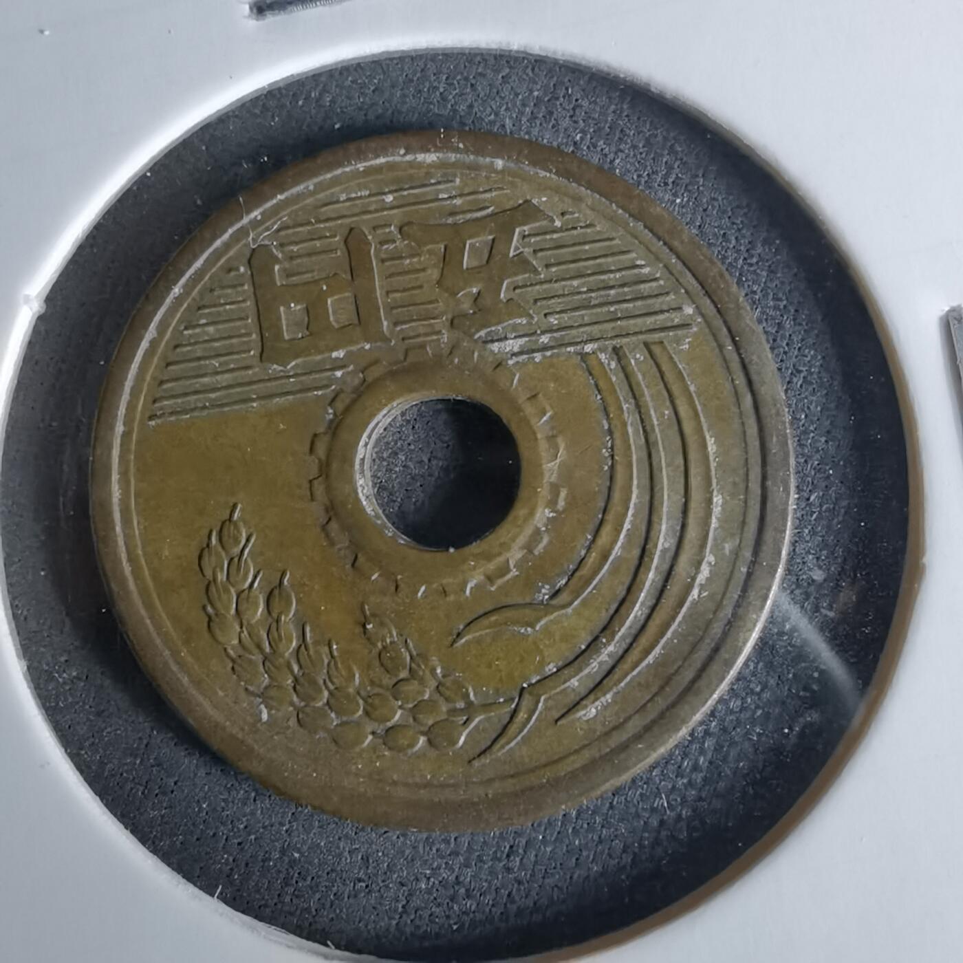 沼泽如烟--第958场