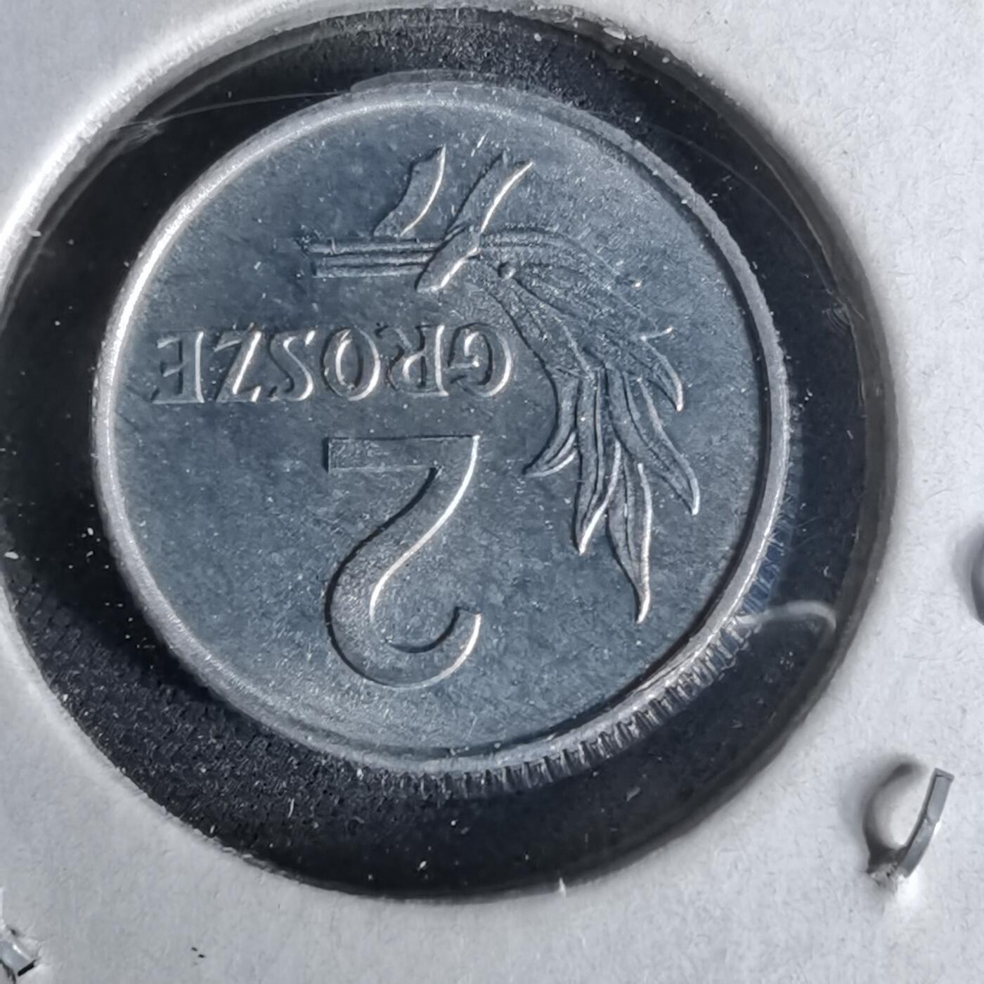 沼泽如烟--第958场