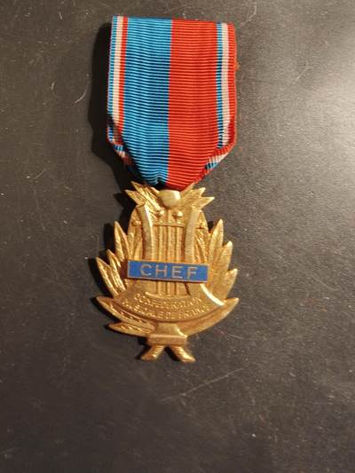 老王徽章第176期 - 法国金级音乐协会奖章     首席勋条