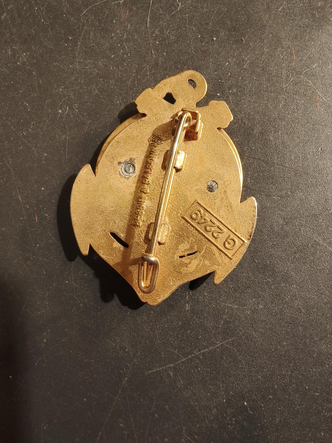 老王徽章第176期