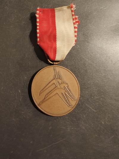 老王徽章第176期 - 瑞士1970沙夫豪森工人体操与体育节纪念章