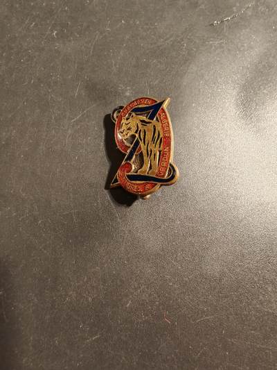 老王徽章第176期 - 法国北非殖民地第9祖阿夫步兵团证章     迷你尺寸