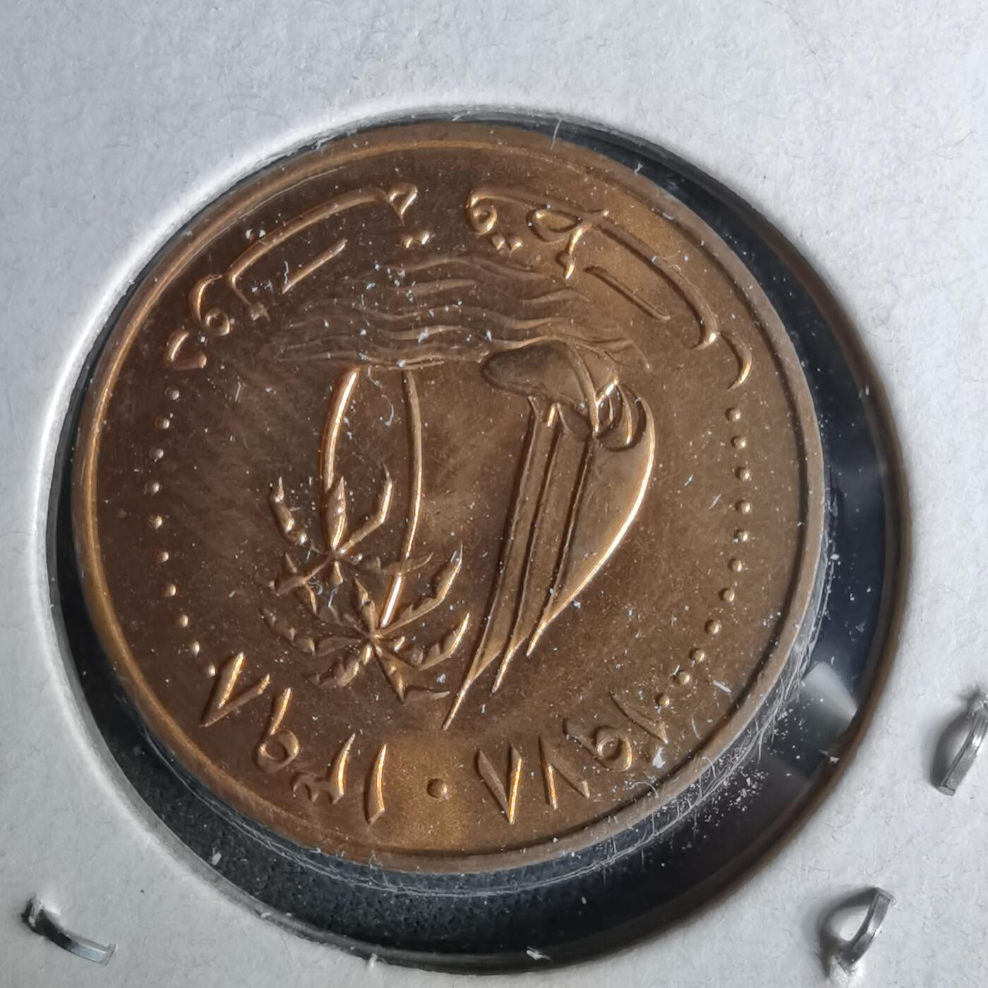 沼泽如烟--第958场 卡塔尔