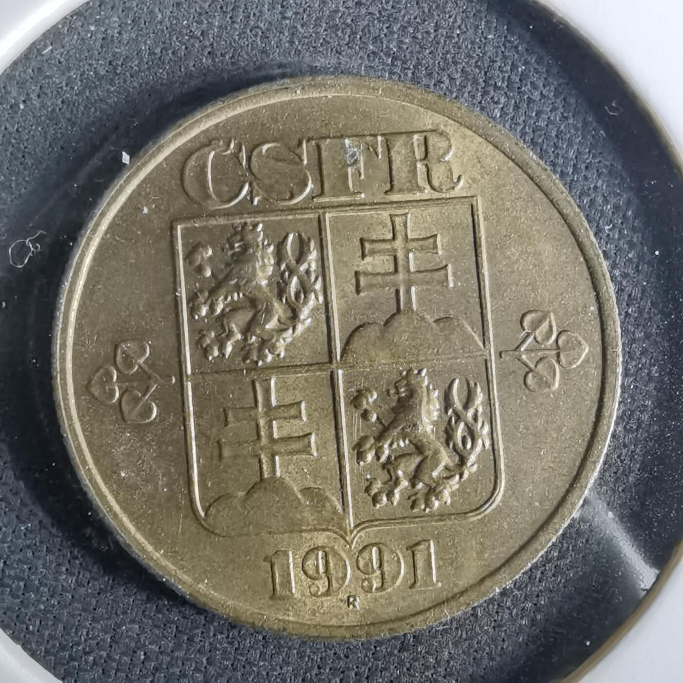 沼泽如烟--第958场